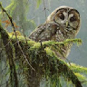 Meet your Posher, Sue